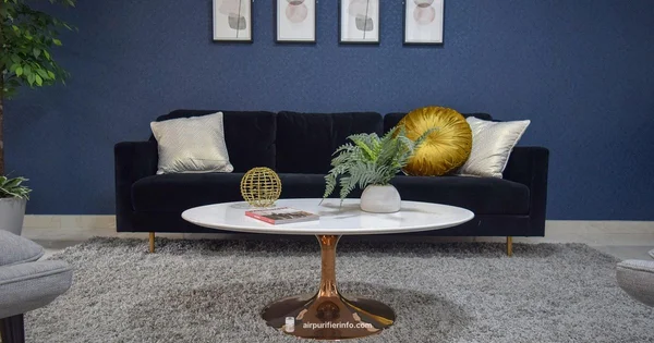 Levoit Guide - Air Purifier Info