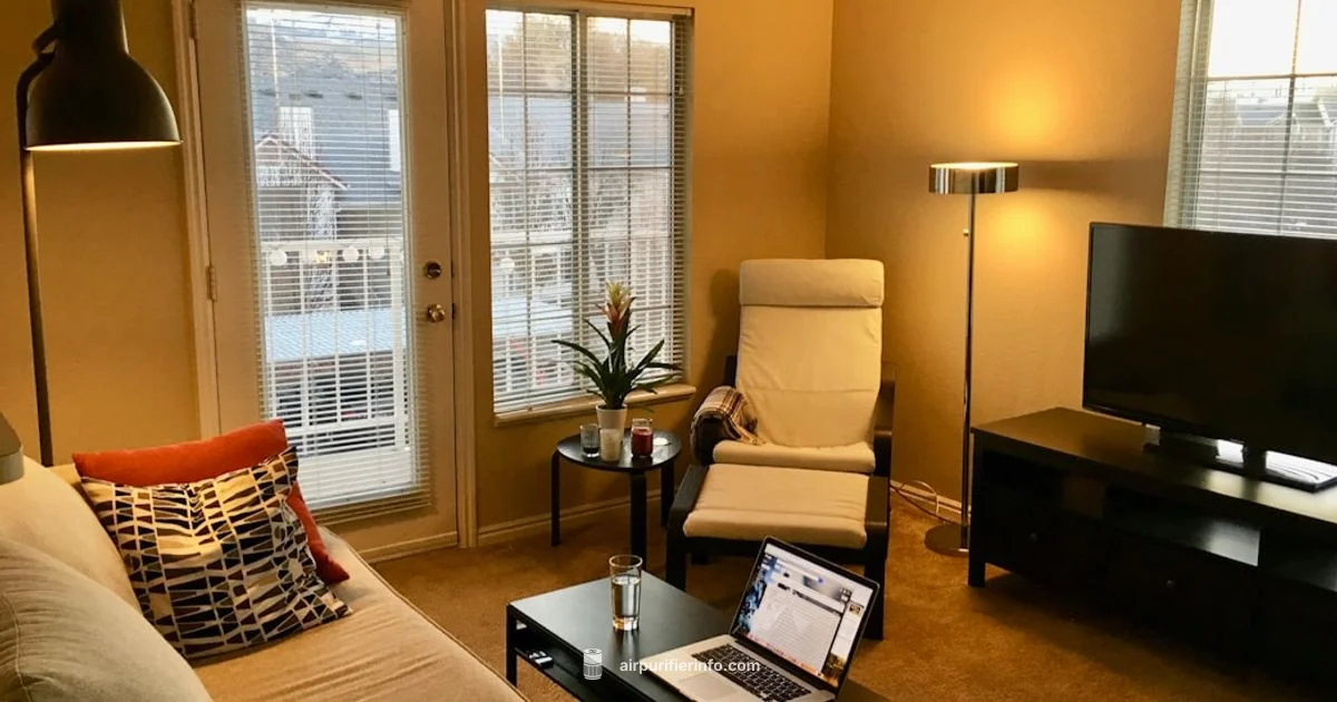 Humidifier vs Purifier - Air Purifier Info