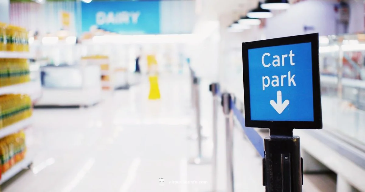 Blueair at Costco - Air Purifier Info