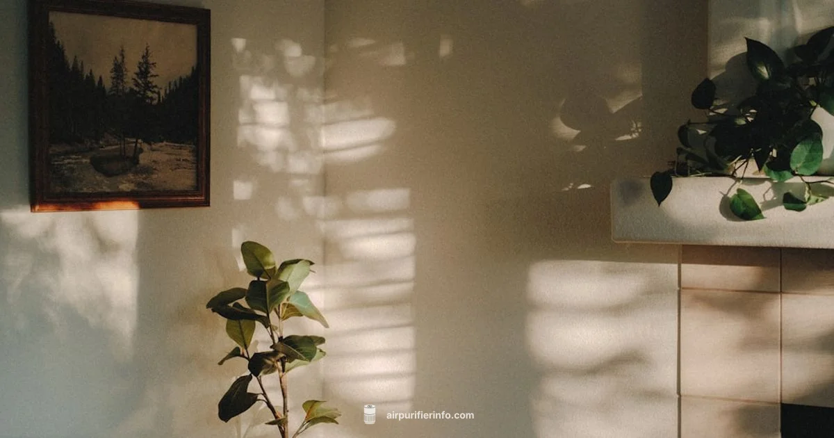 Camfil Purifier Spotlight - Air Purifier Info