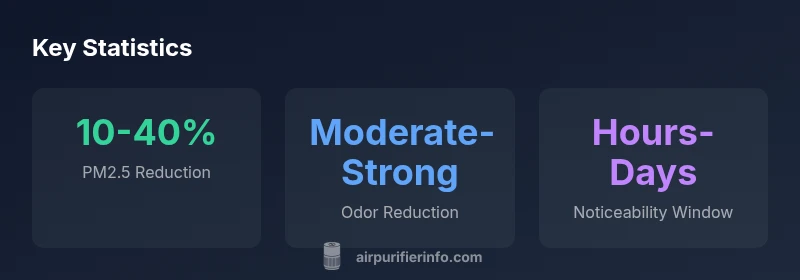 Infographic showing purifier impact on indoor air quality