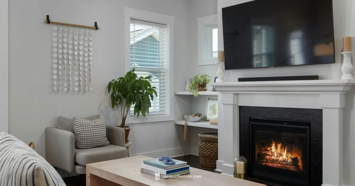 Humidifier vs Purifier - Air Purifier Info