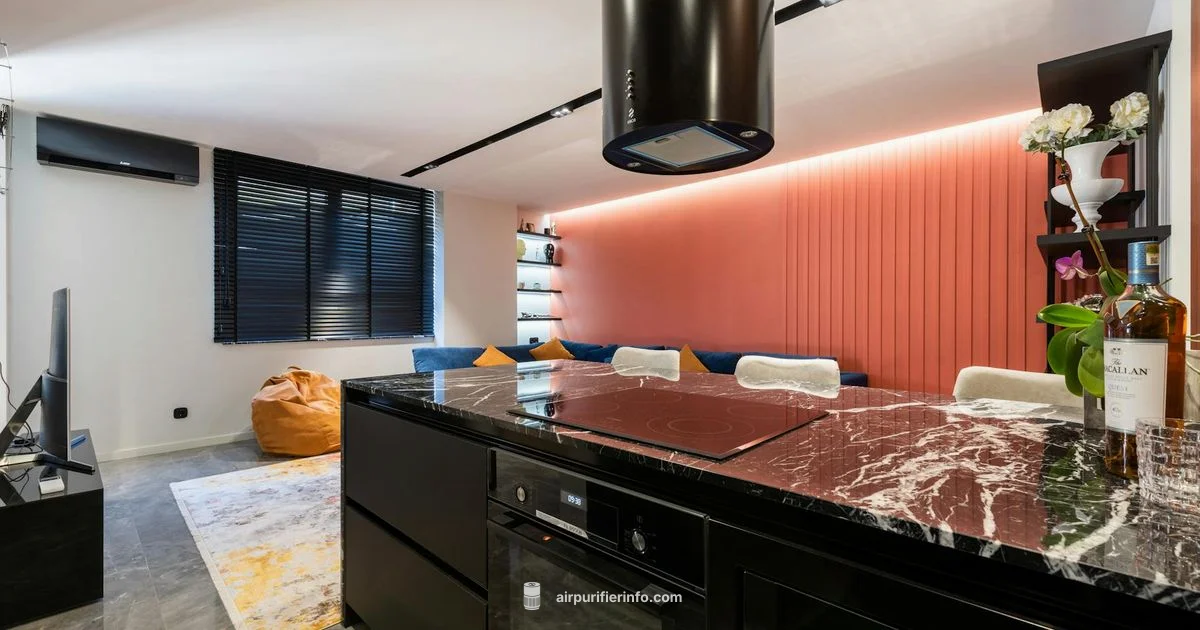 Levoit Review - Air Purifier Info