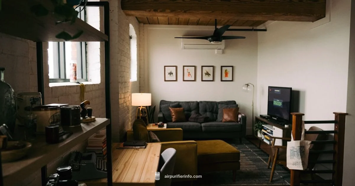 Air Purifier Test - Air Purifier Info