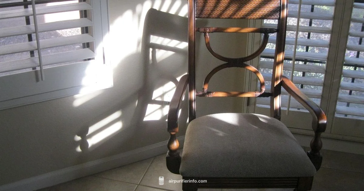 Washable Filter Guide - Air Purifier Info