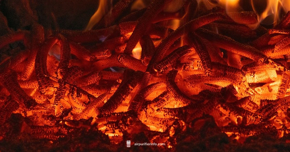 Furnace Filter Location Furnace Filter Location - Air Purifier Info