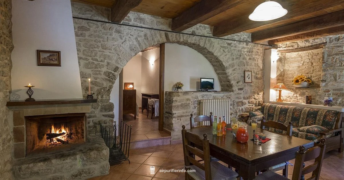 Clean Air Fast Clean Air Fast - Air Purifier Info