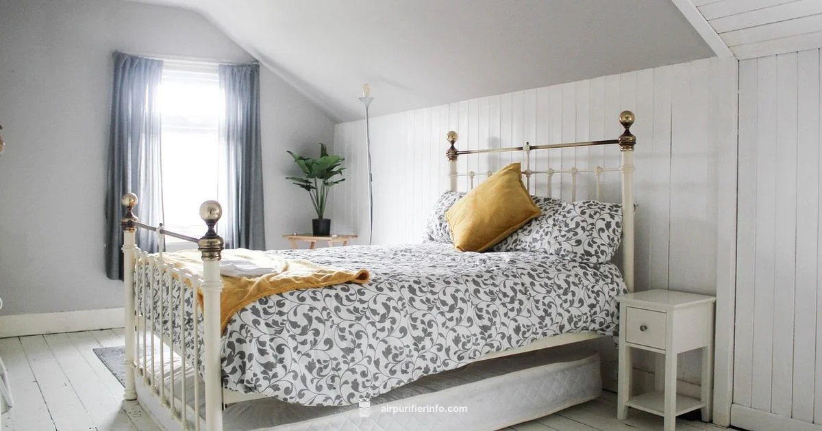 One Bedroom Air - Air Purifier Info