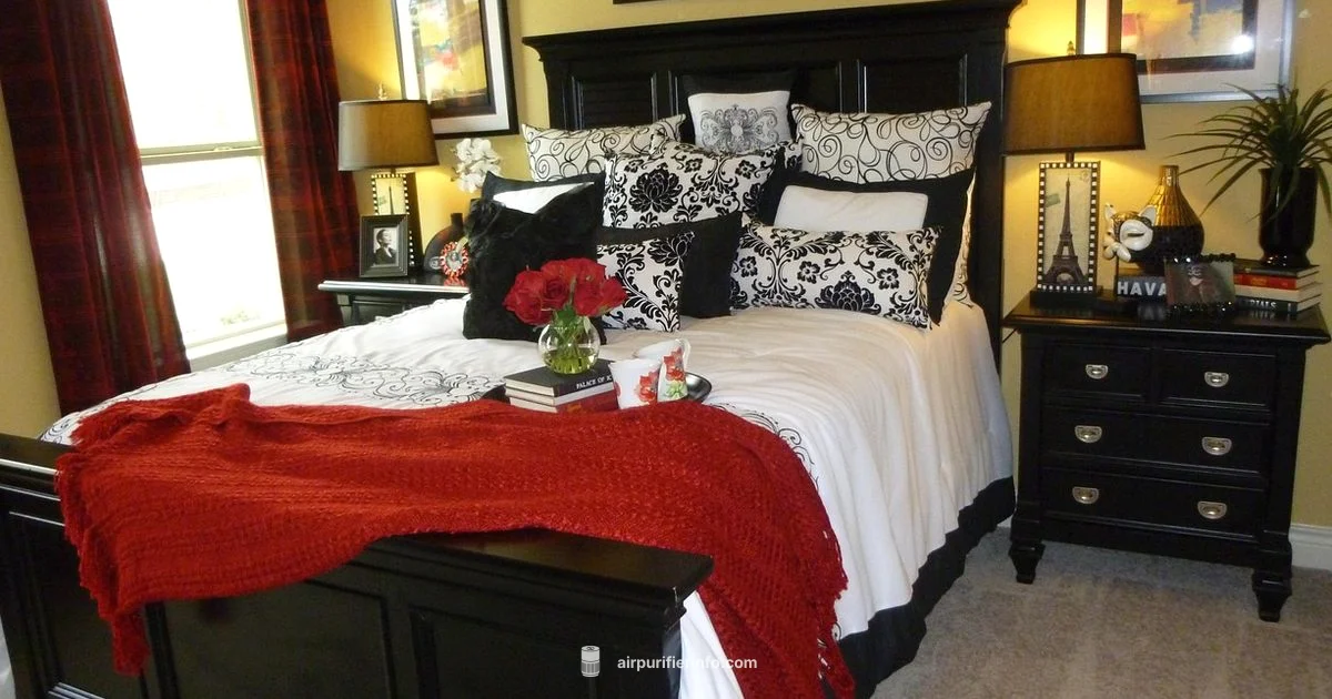 Compact Purifier - Air Purifier Info