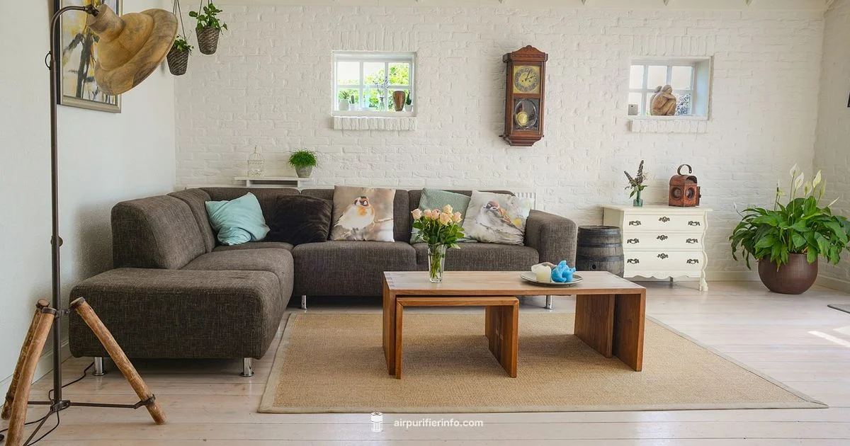 Continuous Purification - Air Purifier Info