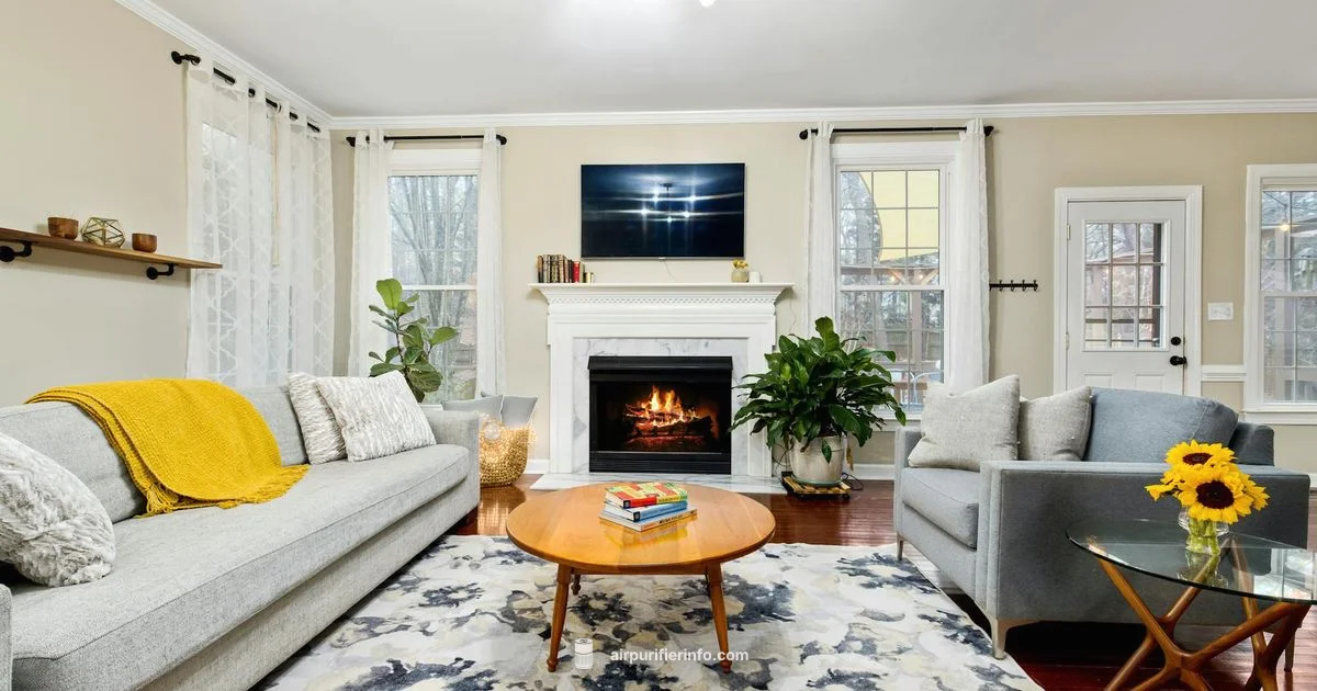 Clean Air at Home Clean Air at Home - Air Purifier Info