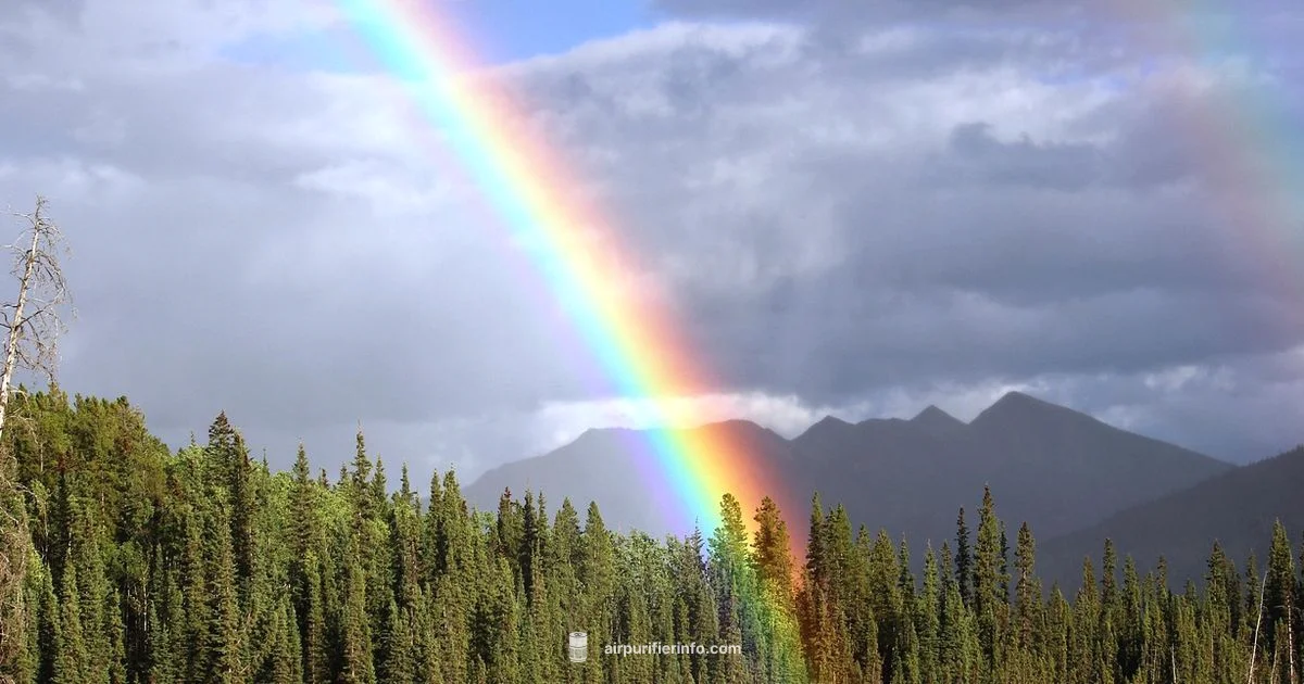 Rainbow Purifier - Air Purifier Info