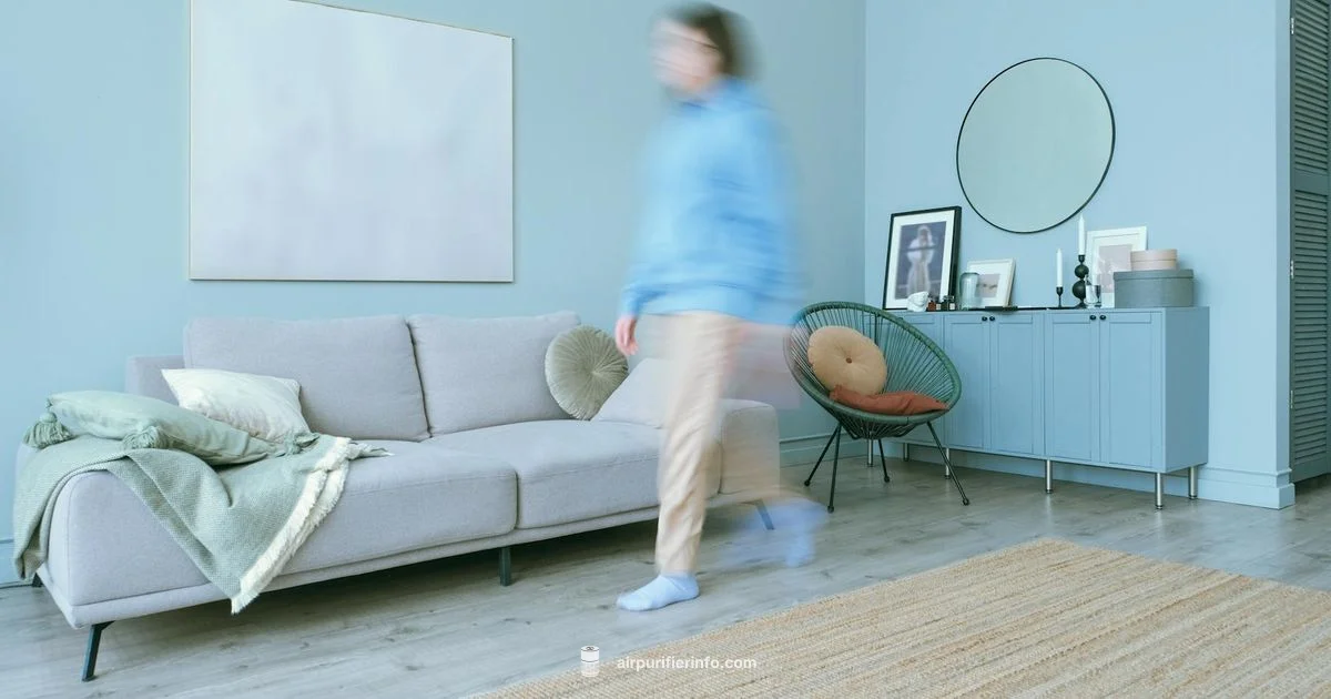 Year Round Purification - Air Purifier Info