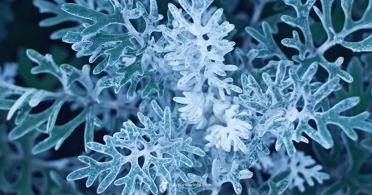 Dirty Filter Impact - Air Purifier Info