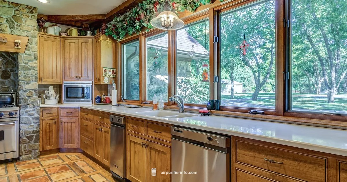 Humidity Helper Pro - Air Purifier Info