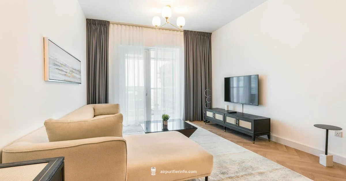 Why Purifiers Matter - Air Purifier Info