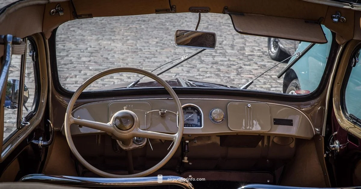 Cabin Filter Guide - Air Purifier Info