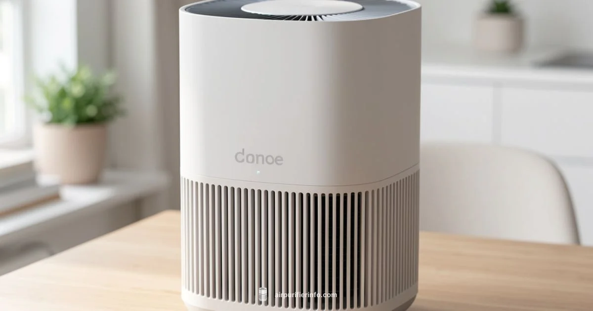 Cleaner Air at Home Cleaner Air at Home - Air Purifier Info