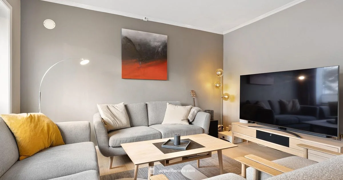 Dual Temperature Purifier - Air Purifier Info