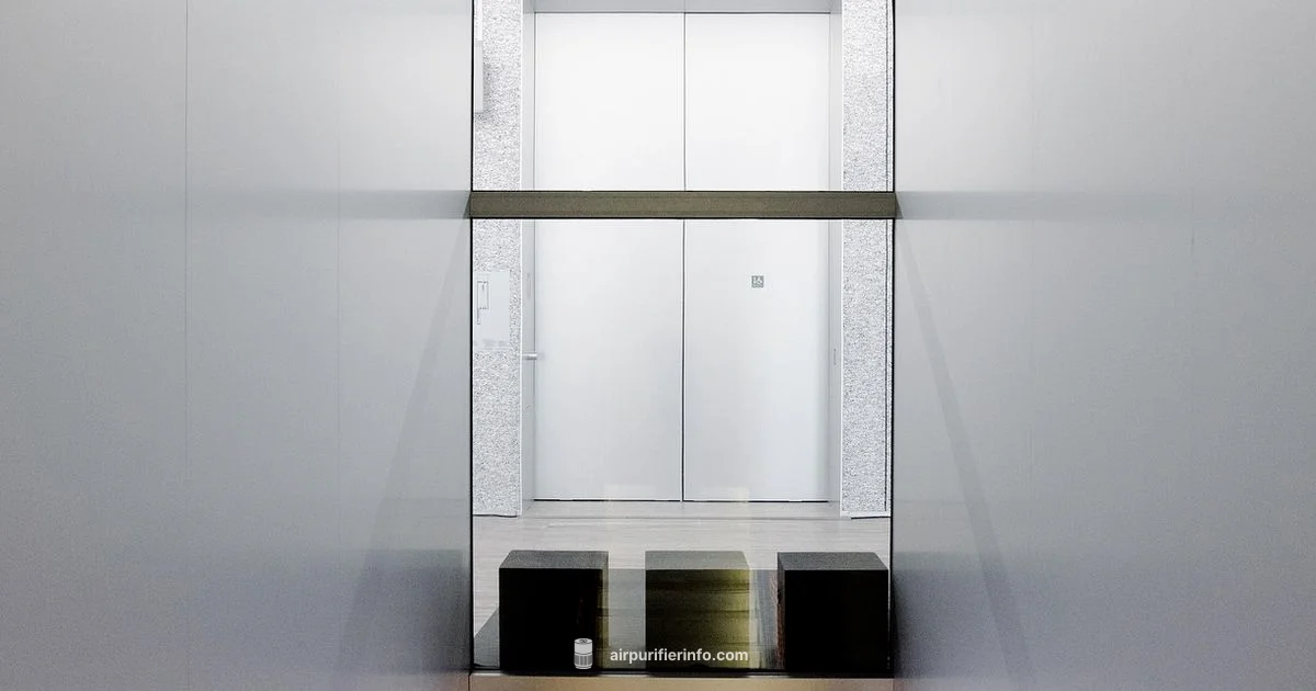 Cuckoo Filter Guide - Air Purifier Info