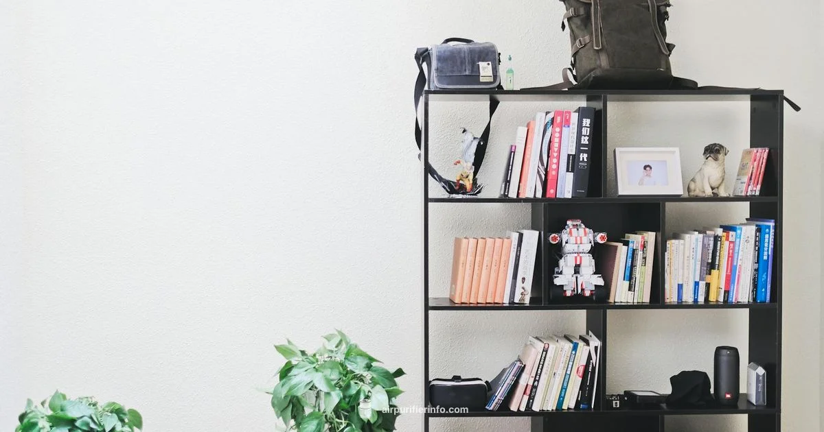 Ion Purifier Review - Air Purifier Info