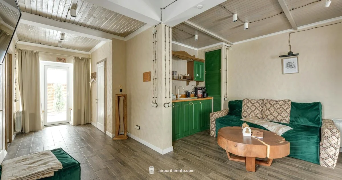 Whole-House Cost - Air Purifier Info