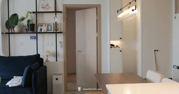 Cleans Air Efficiently - Air Purifier Info