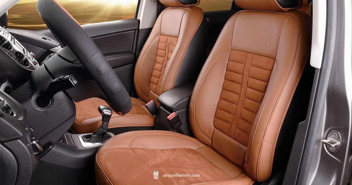 Car HEPA Purifier Car HEPA Purifier - Air Purifier Info