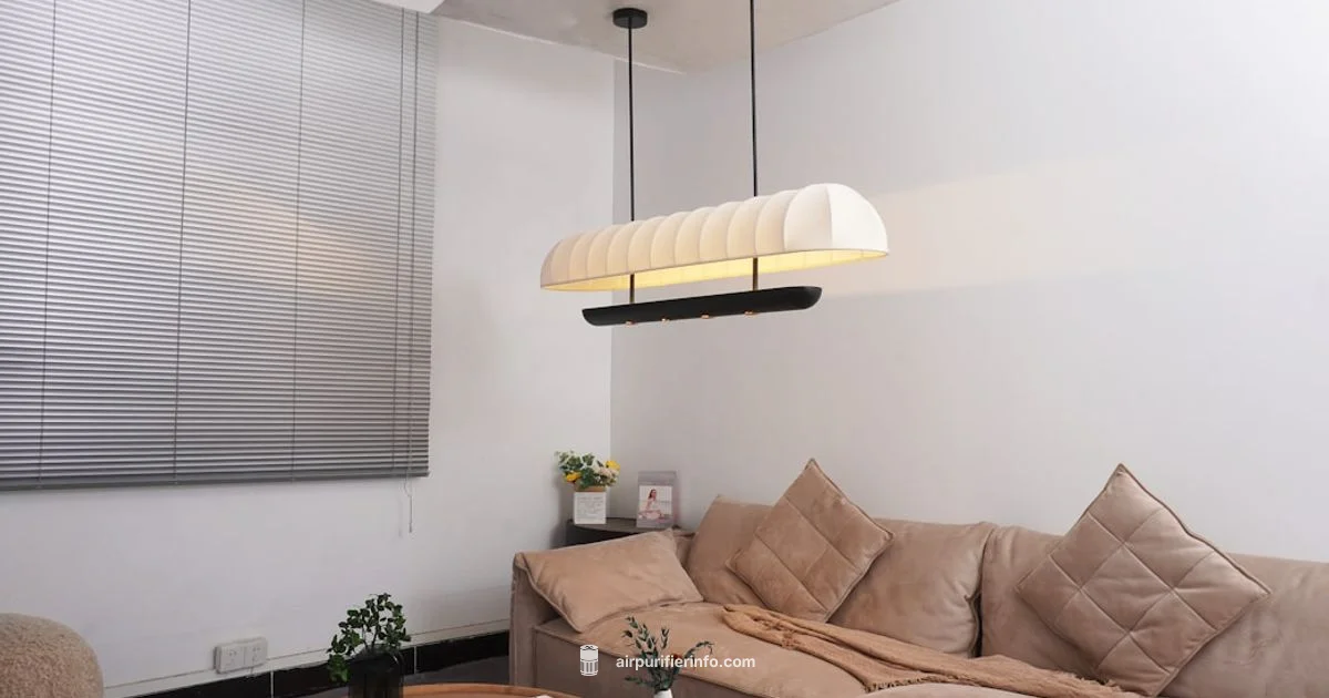 Air Purifier Use Guide Air Purifier Use Guide - Air Purifier Info