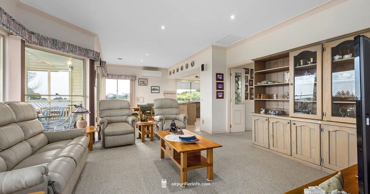 In-Room Purifier Guide In-Room Purifier Guide - Air Purifier Info