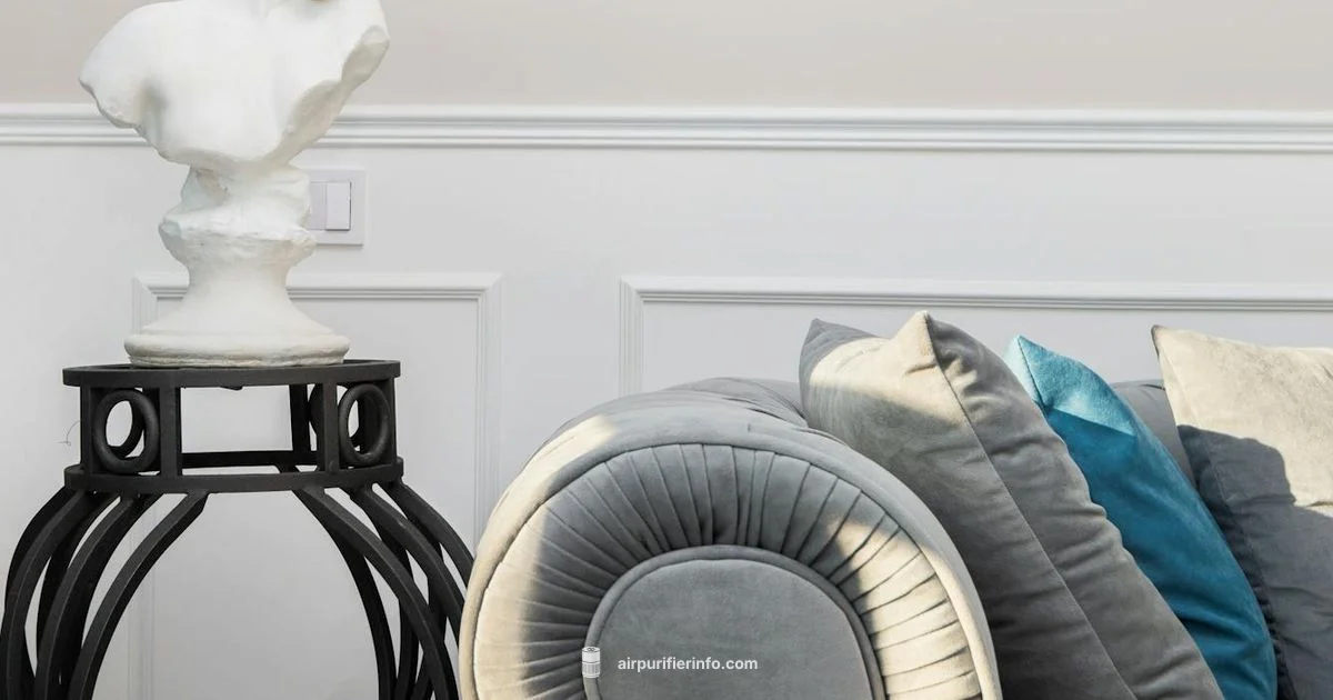 Coway Purifier Picks - Air Purifier Info