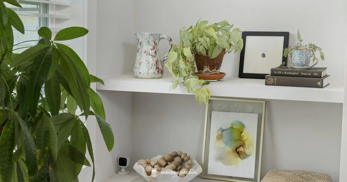 Clear Air Deals - Air Purifier Info