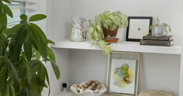 Clear Air Deals - Air Purifier Info