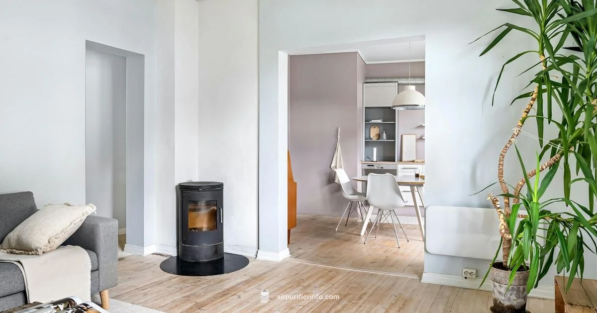 Aeris Purifier Spotlight - Air Purifier Info