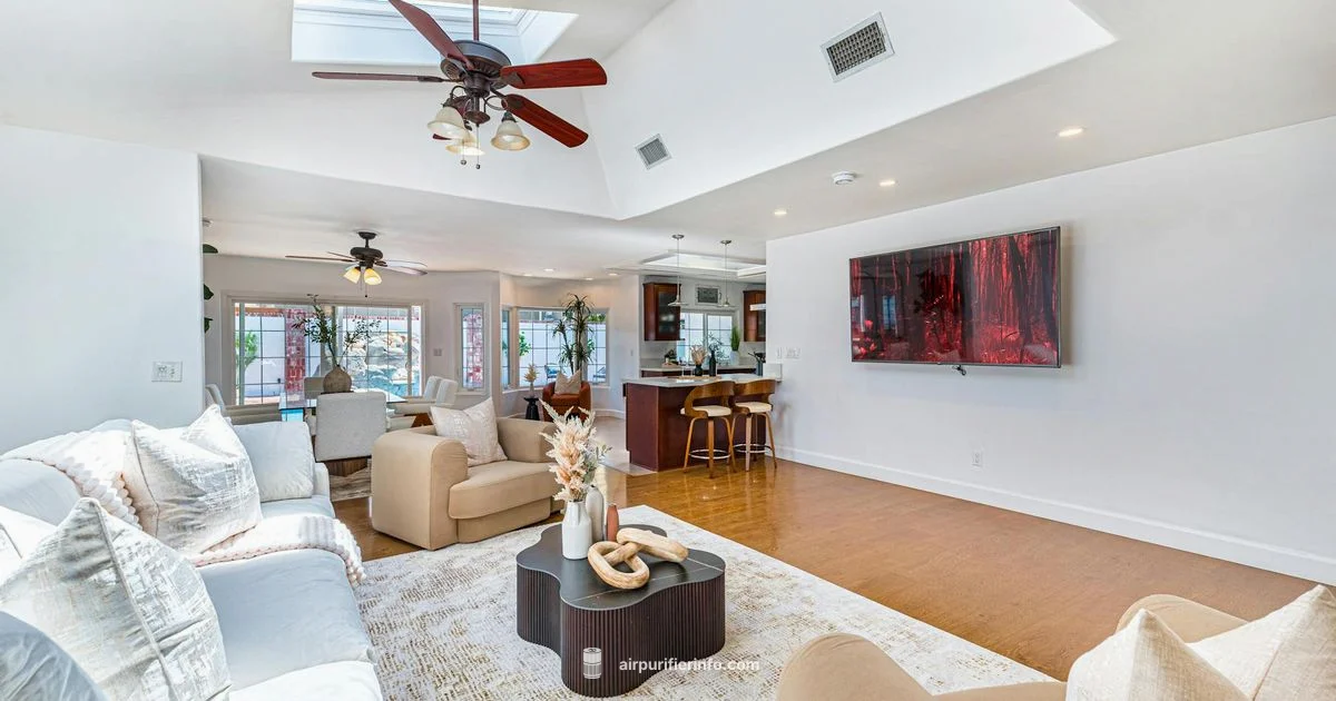 Best Dyson Price Best Dyson Price - Air Purifier Info