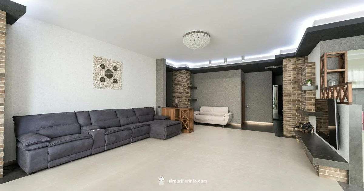 Mold Solutions for Home - Air Purifier Info