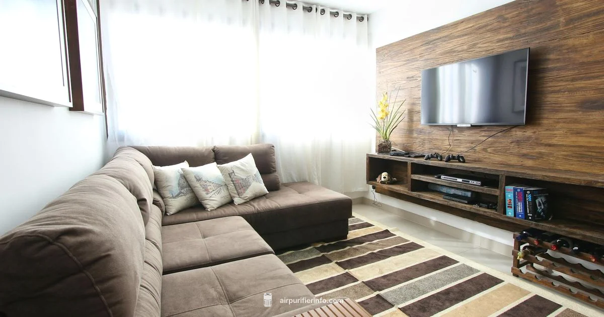 Fragrance & Purifiers - Air Purifier Info