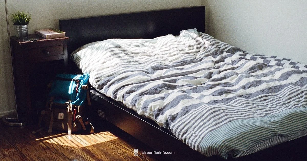 Clean Air, Balanced Humidity - Air Purifier Info