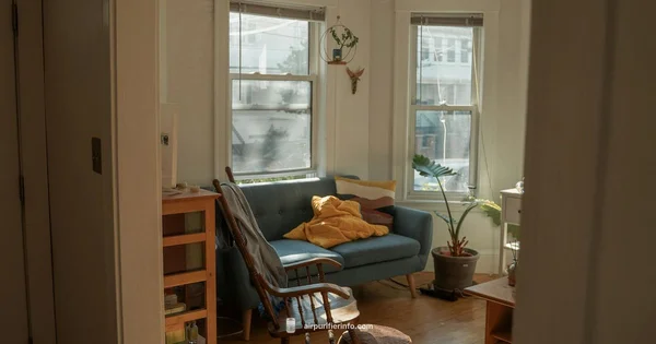 Budget Purifier - Air Purifier Info