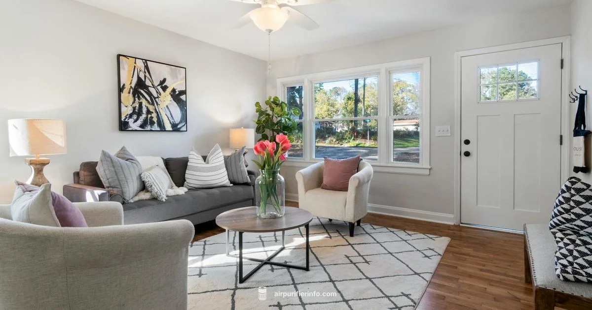 Air Purifier Room Guide - Air Purifier Info