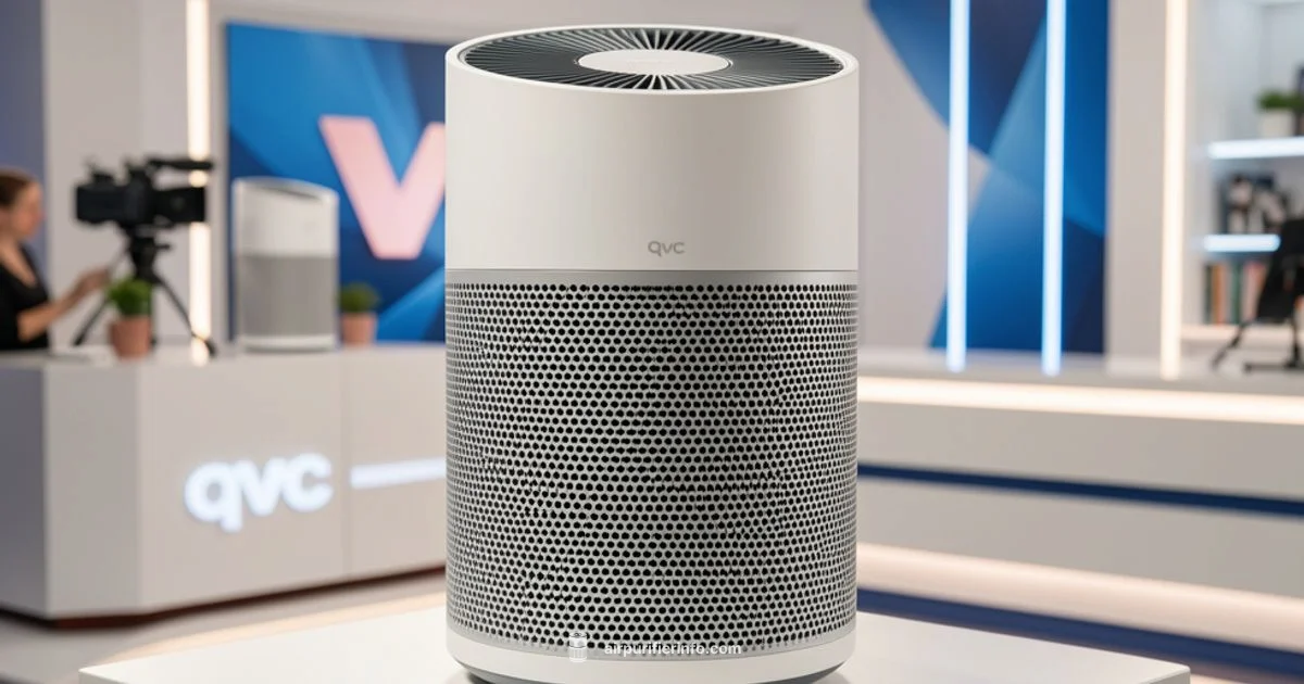 QVC Air Purifier Picks - Air Purifier Info