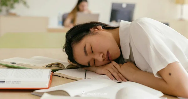 Dorm Purifier Guide - Air Purifier Info