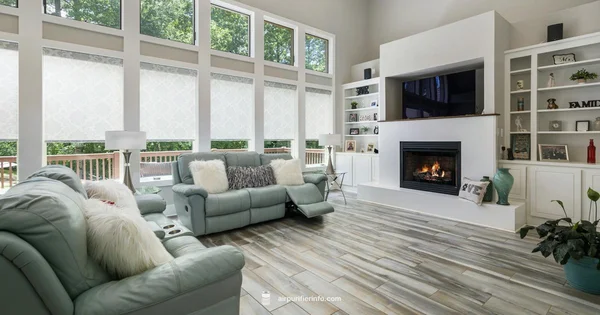 Big Home Purifier - Air Purifier Info