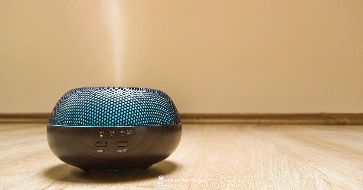 Air Purifier vs Diffuser Air Purifier vs Diffuser - Air Purifier Info