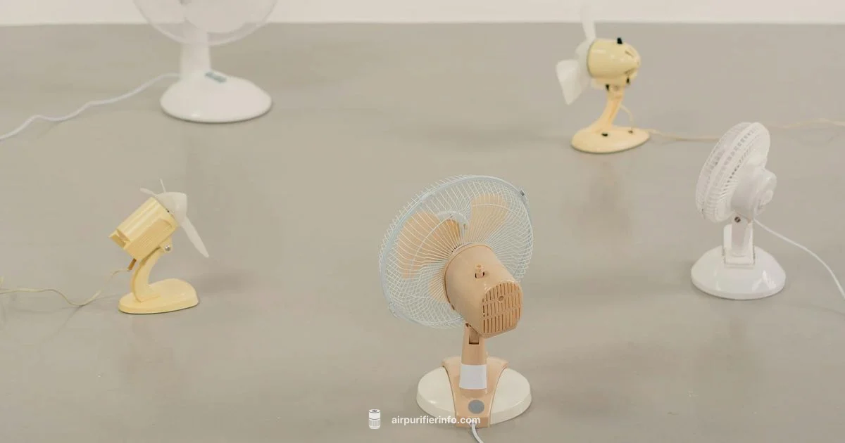 Dyson Fan Overview - Air Purifier Info