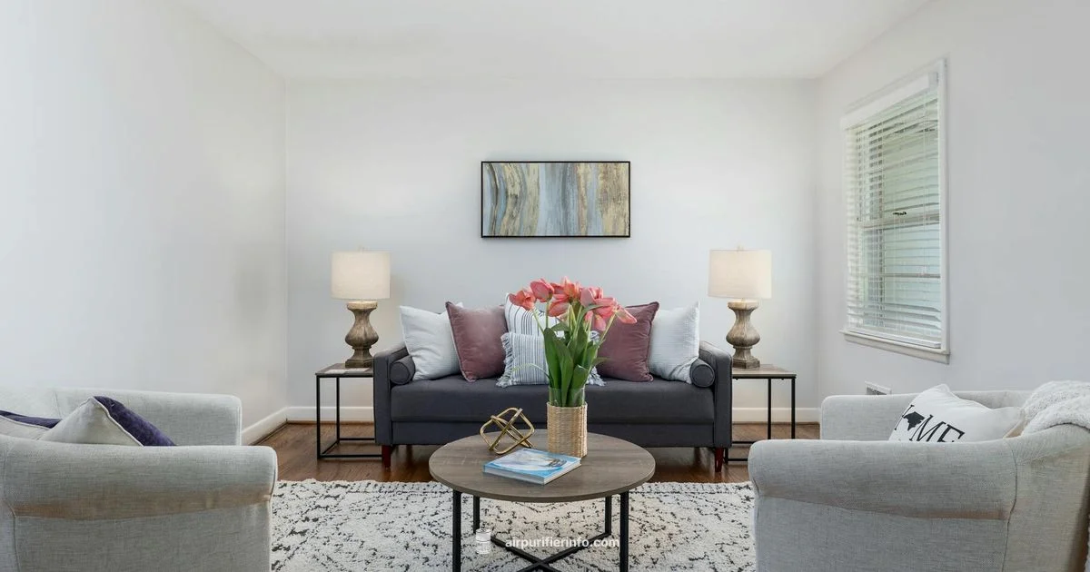 Clean Air at Home - Air Purifier Info