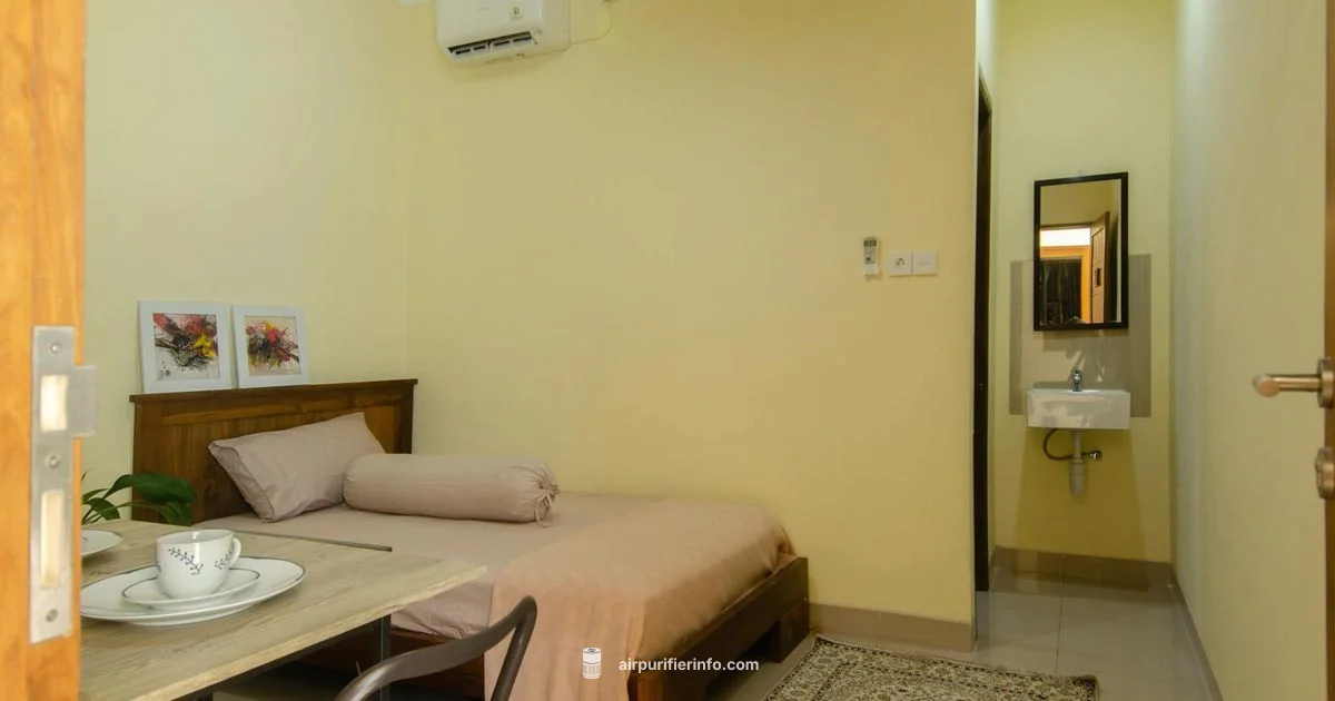 Small Room HEPA Purifier - Air Purifier Info