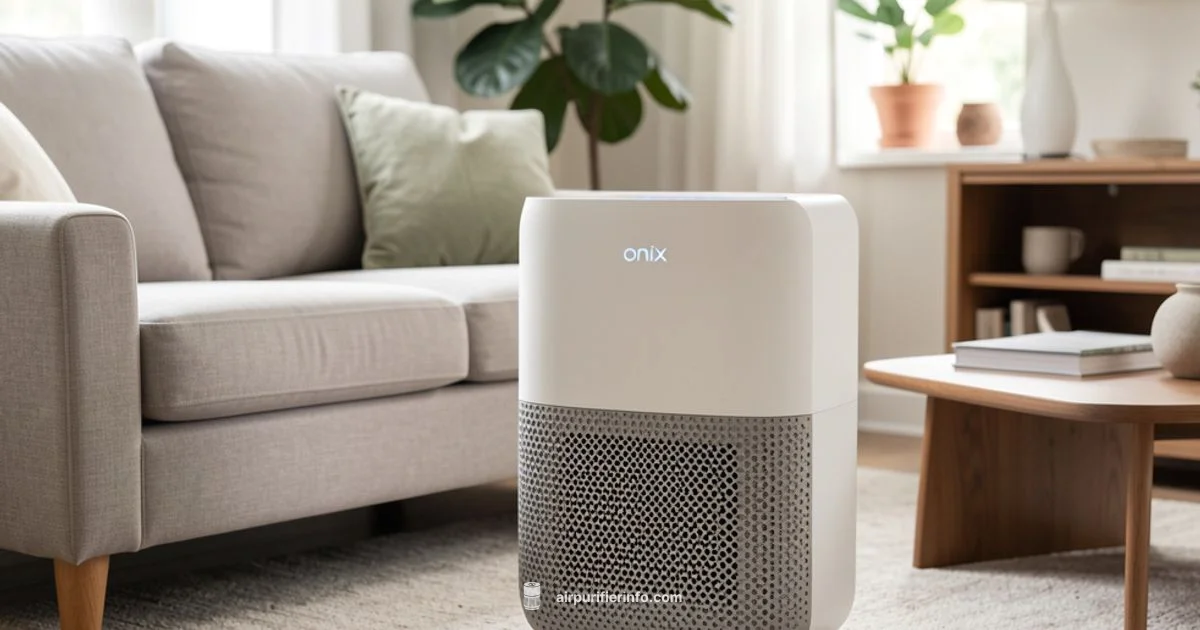 Onix Air Purifier 2026 - Air Purifier Info