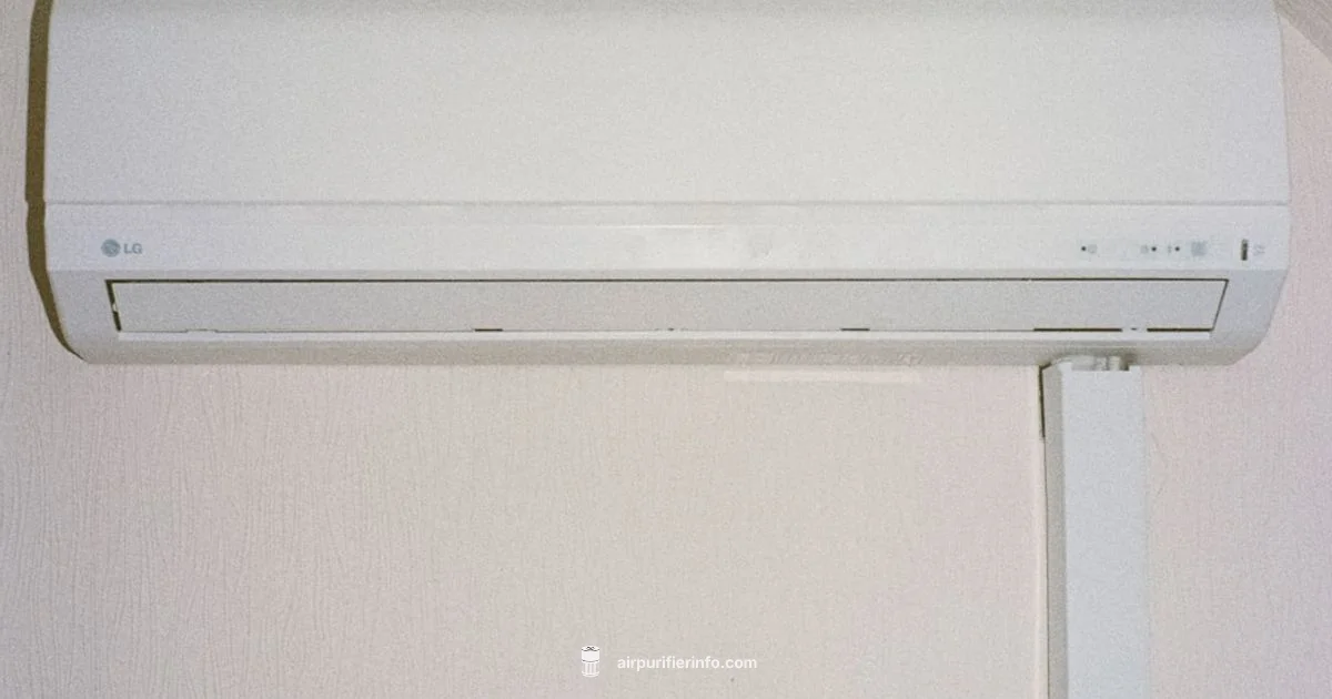 Dry Air Check - Air Purifier Info