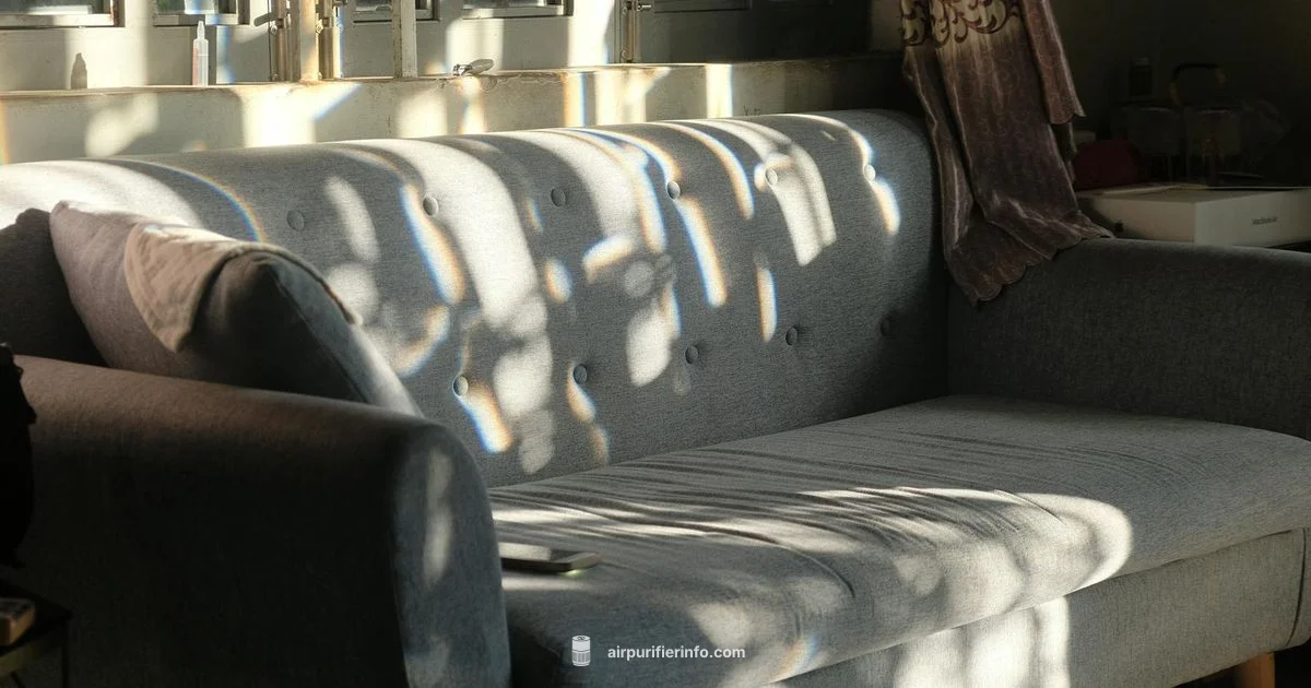 Air Quality Change - Air Purifier Info